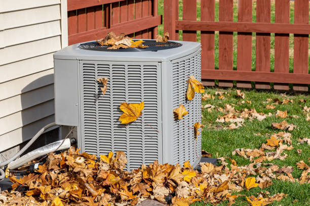 Best Local HVAC Companies  in Milam, TX